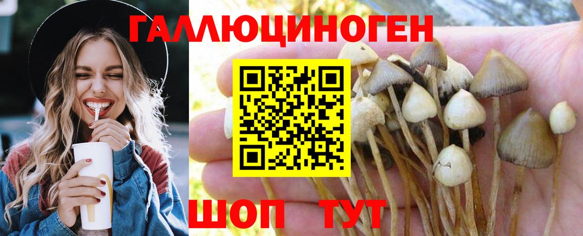 Псилоцибиновые грибы ЛСД Подольск